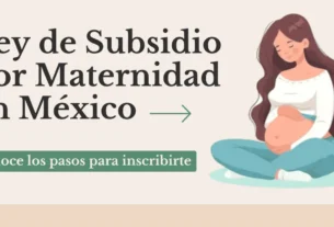 Ley de Subsidio por Maternidad en México